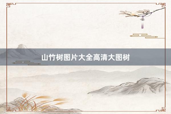 山竹树图片大全高清大图树